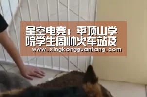 星空电竞:平顶山学院学生周帅火车站及途中帮助老人老人写信表达感谢(图3) 星空官方